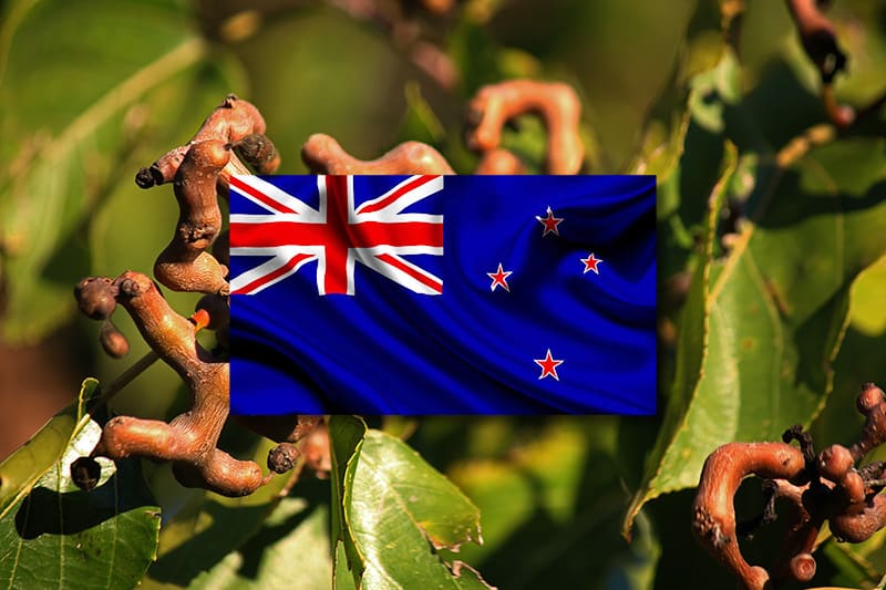 Dihydromyricetin in New Zealand flag to show its legal status.